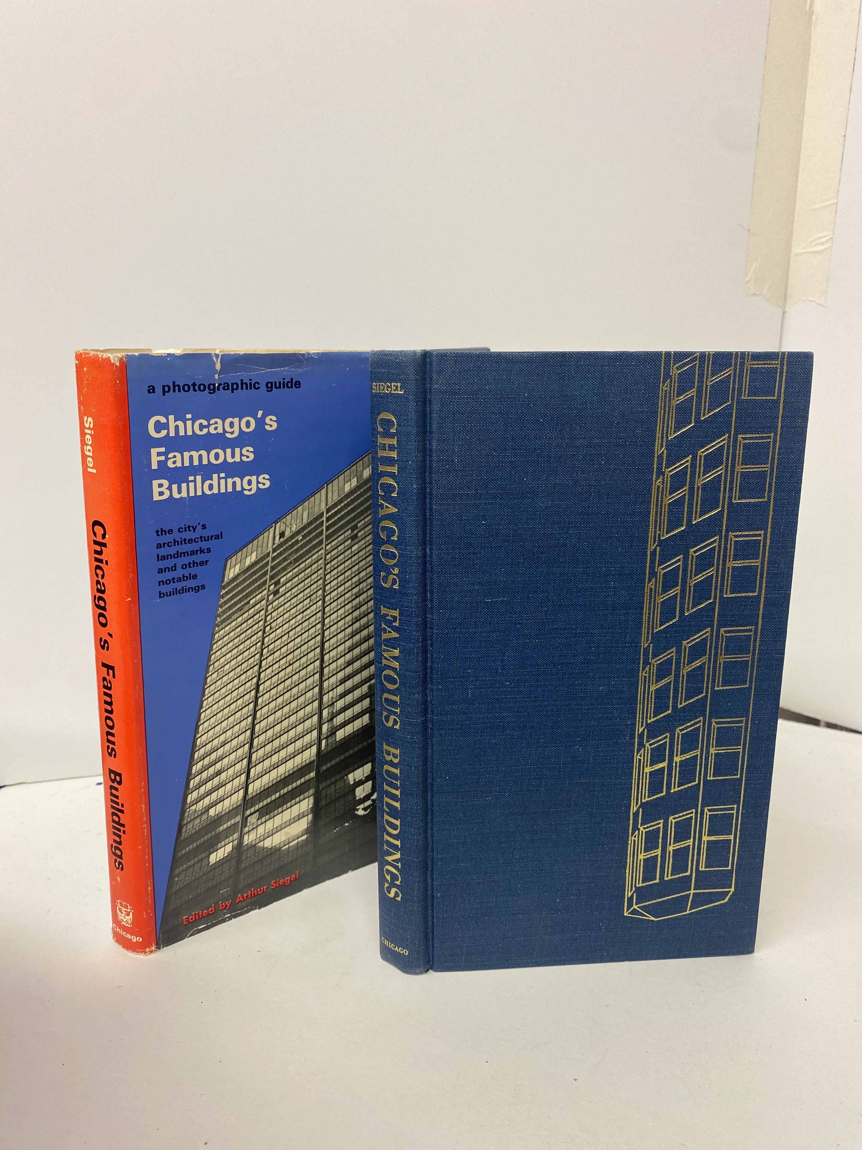Chicago's Famous Buildings - Arthur Siegel