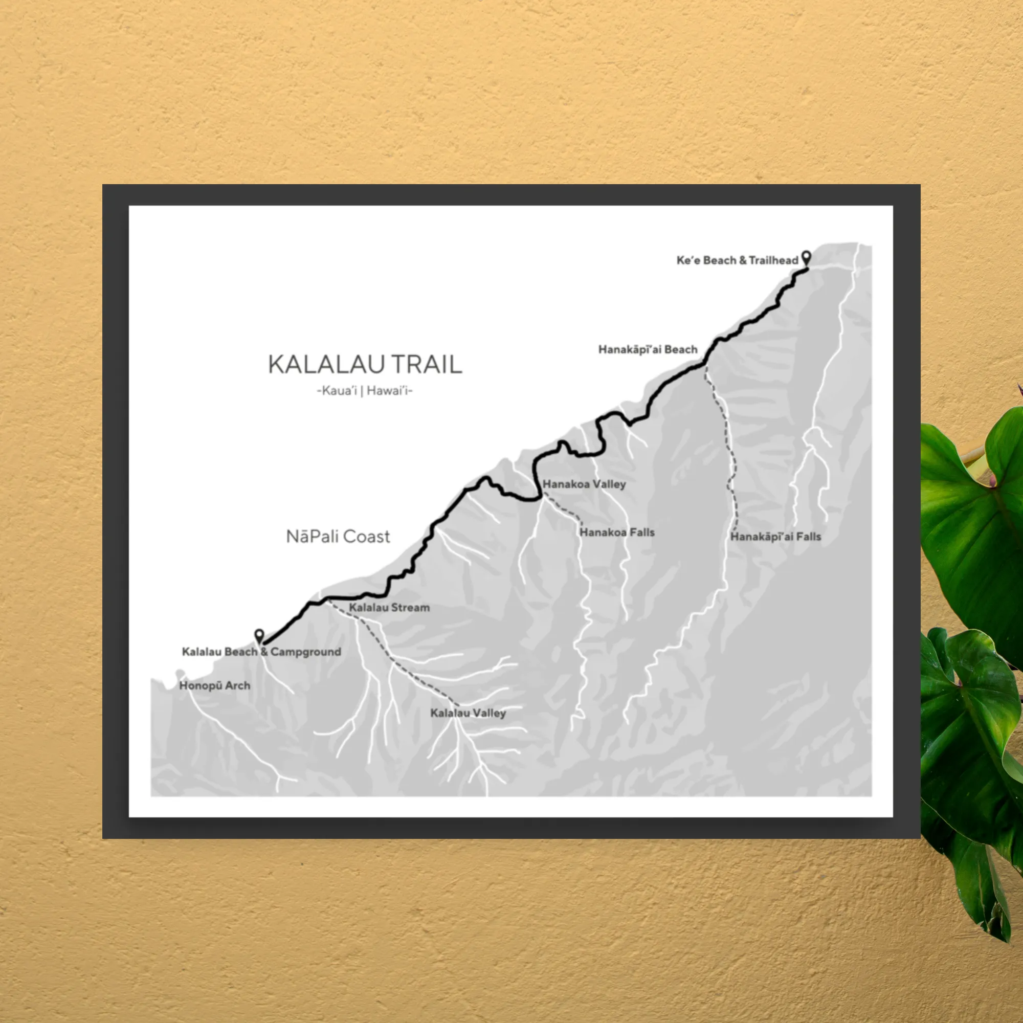 Kaua'i & Kalalau Art & Swag