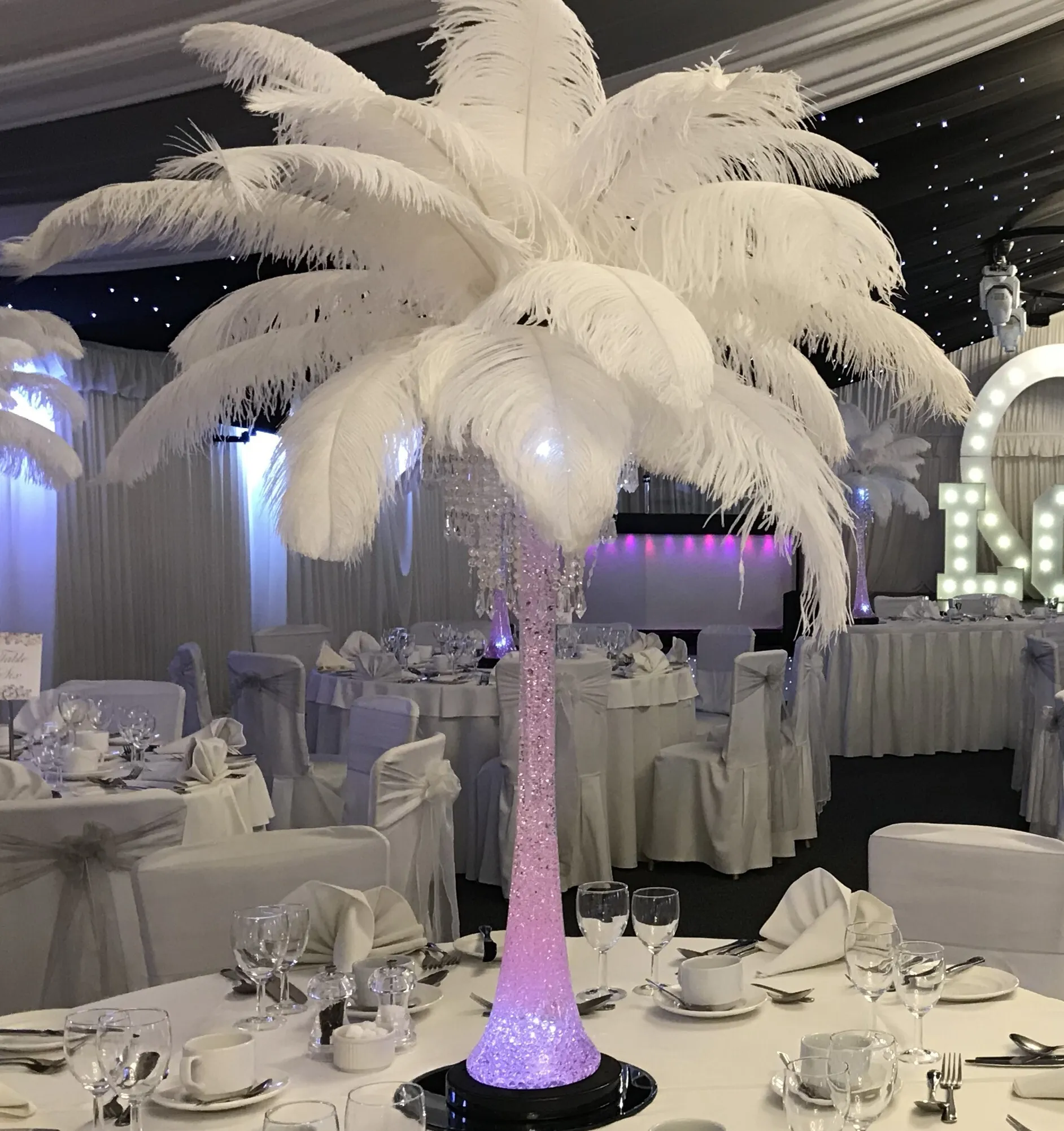 Feather Centrepieces Hire