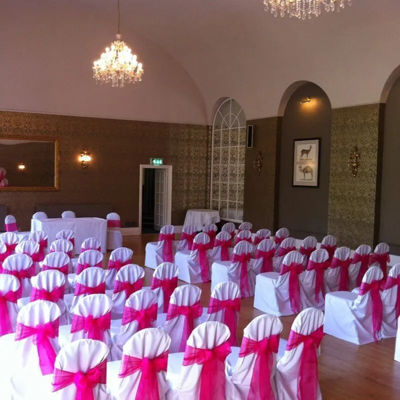 Chair Organza Sashes