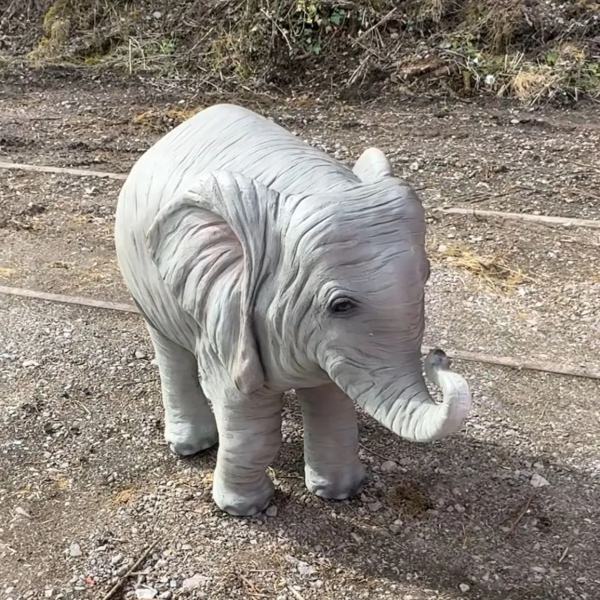 Jungle Baby Elephant Statue For Hire