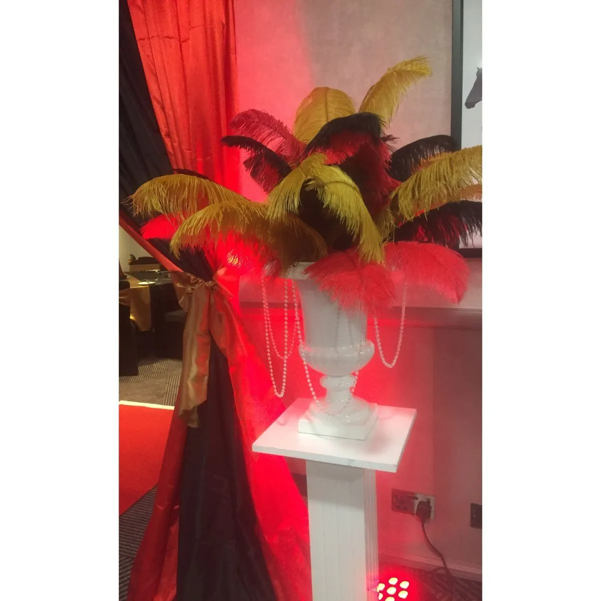 Black Gold & Red Ostrich Feather Display For Hire