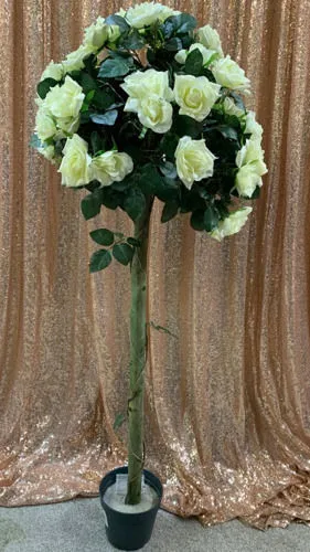 Rose Topiary Tree Hire