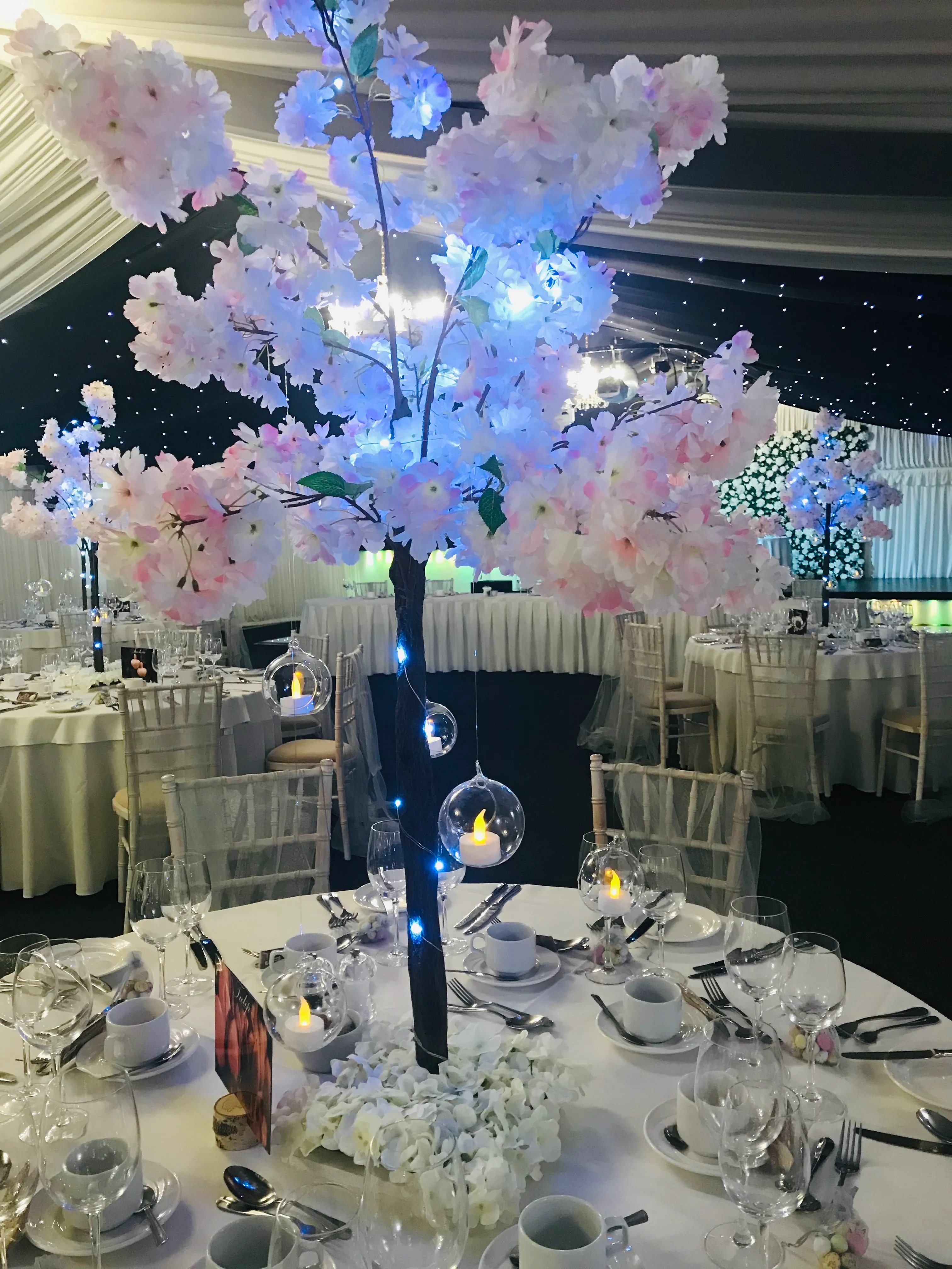 Pink Cherry Blossom Tree Hire