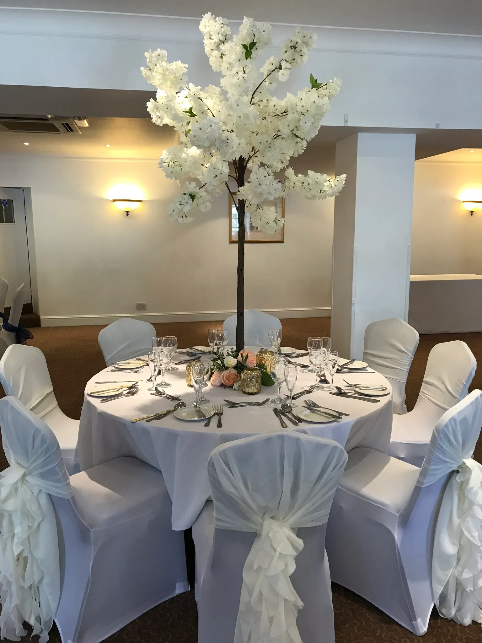 Cream Blossom Tree Hire