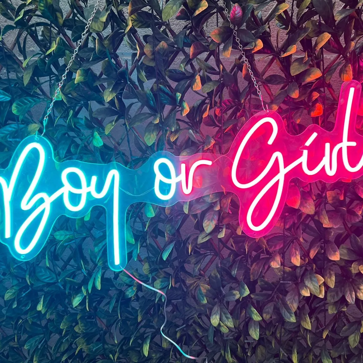 Boy or Girl - Neon Sign