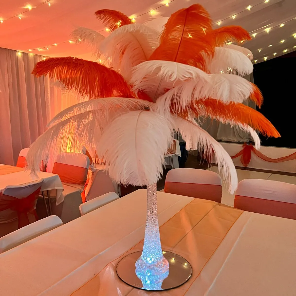 Orange & White Ostrich Feather Centrepiece For Hire