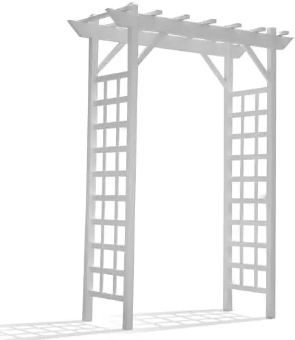 Arbor