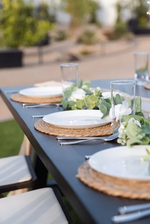 Dinner plate
