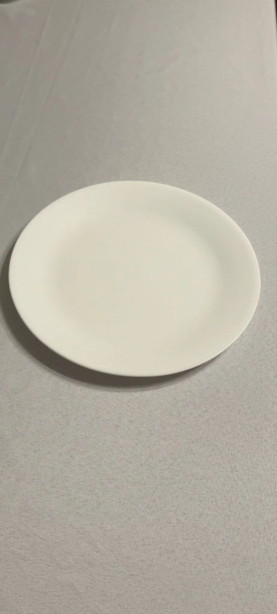 Dinner plate