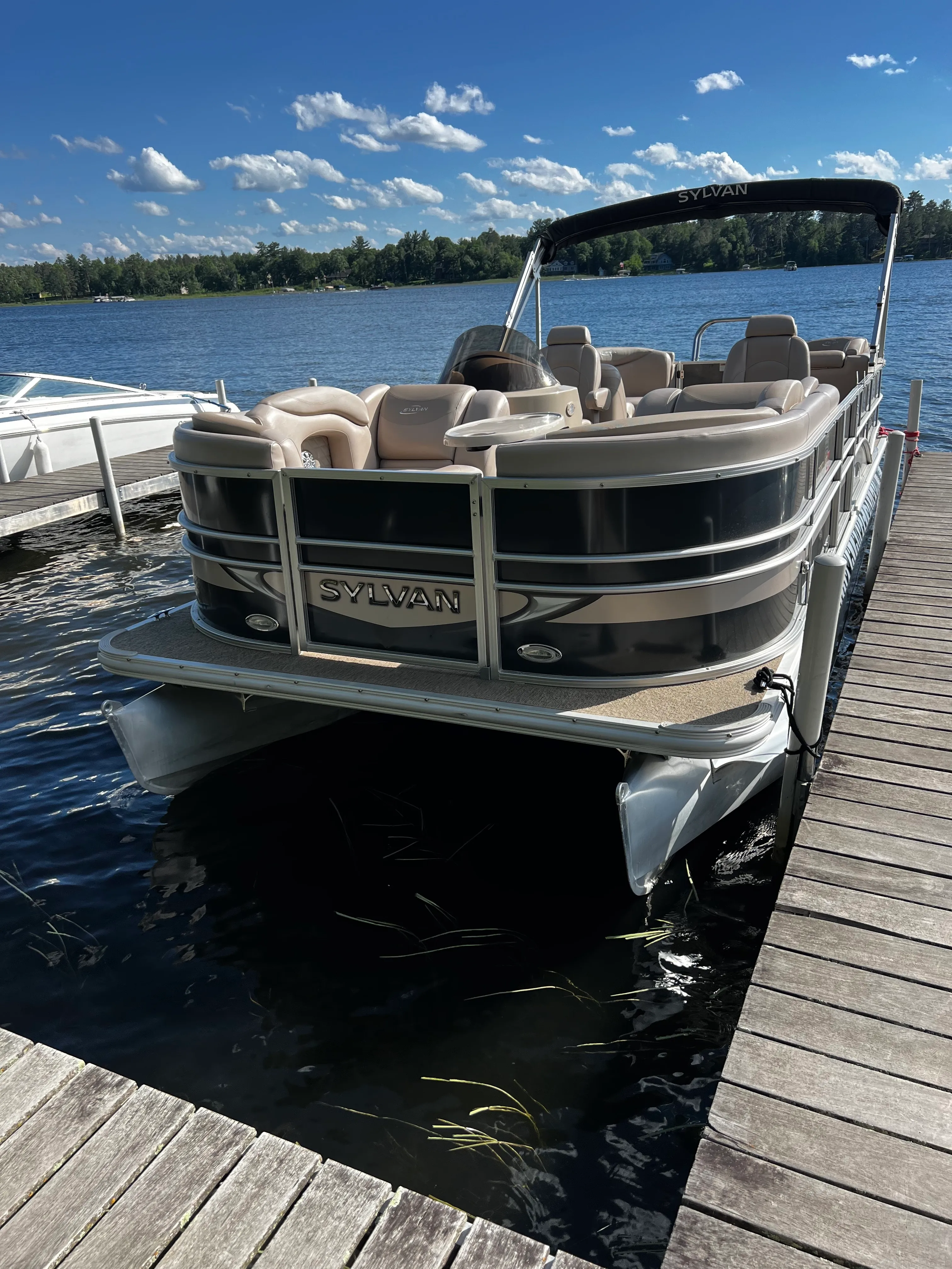 Pontoon 115hp 22' Sylvan, Seats 12