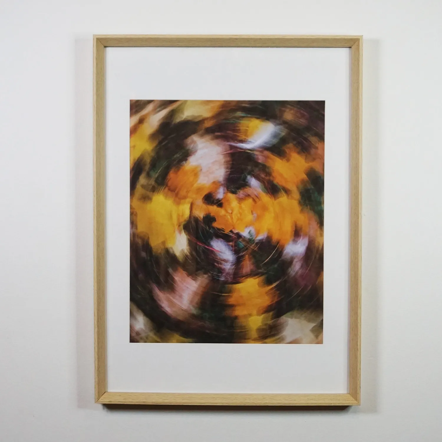 Autumn leaves abstract, royalty free print, framed with glass
