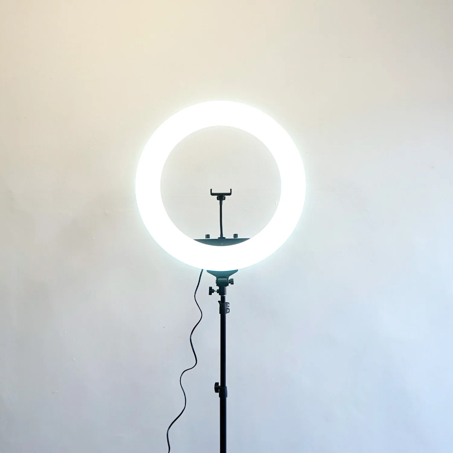 55cm LED Ring Light