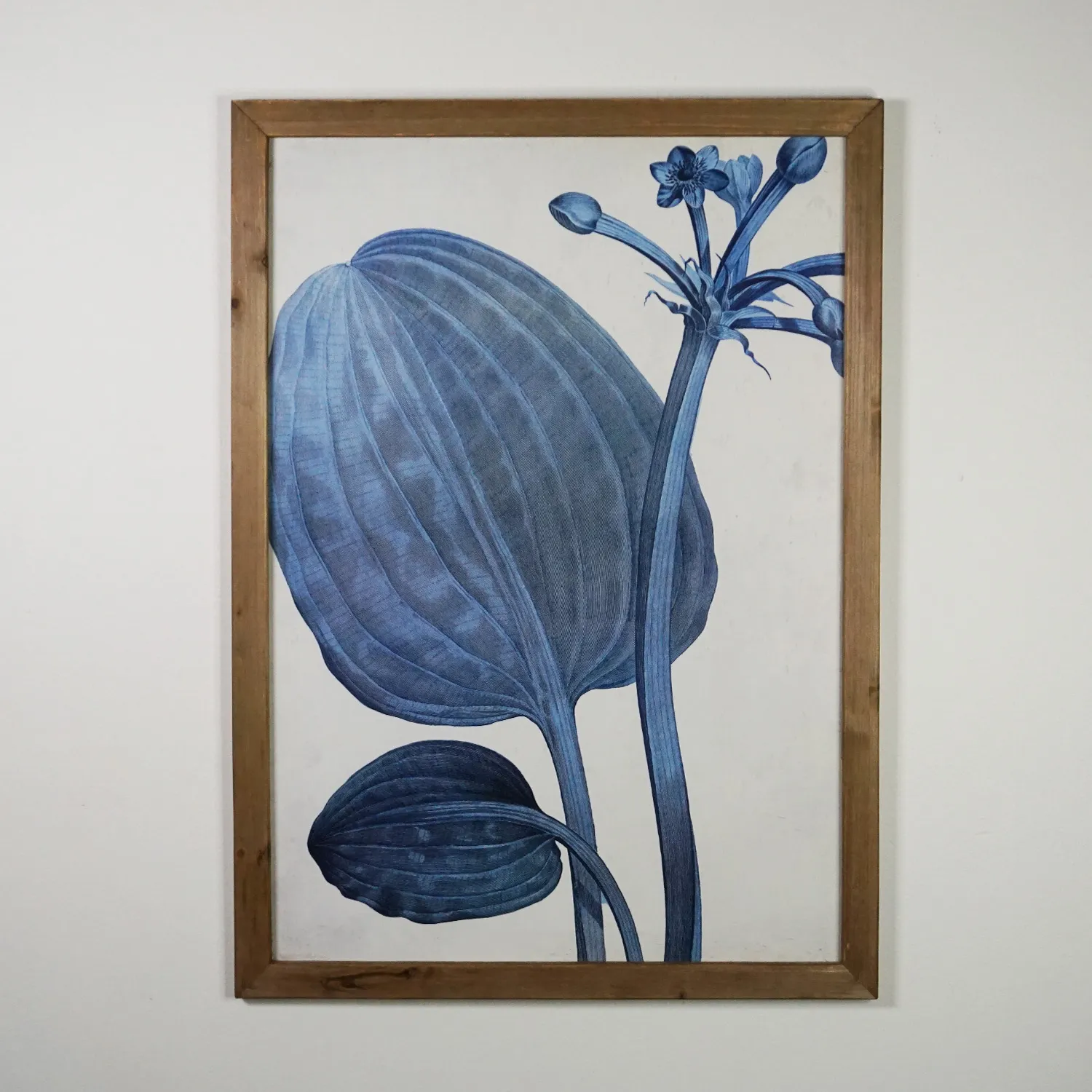 Blue Botanical Print in Glass and Wood Frame 2
