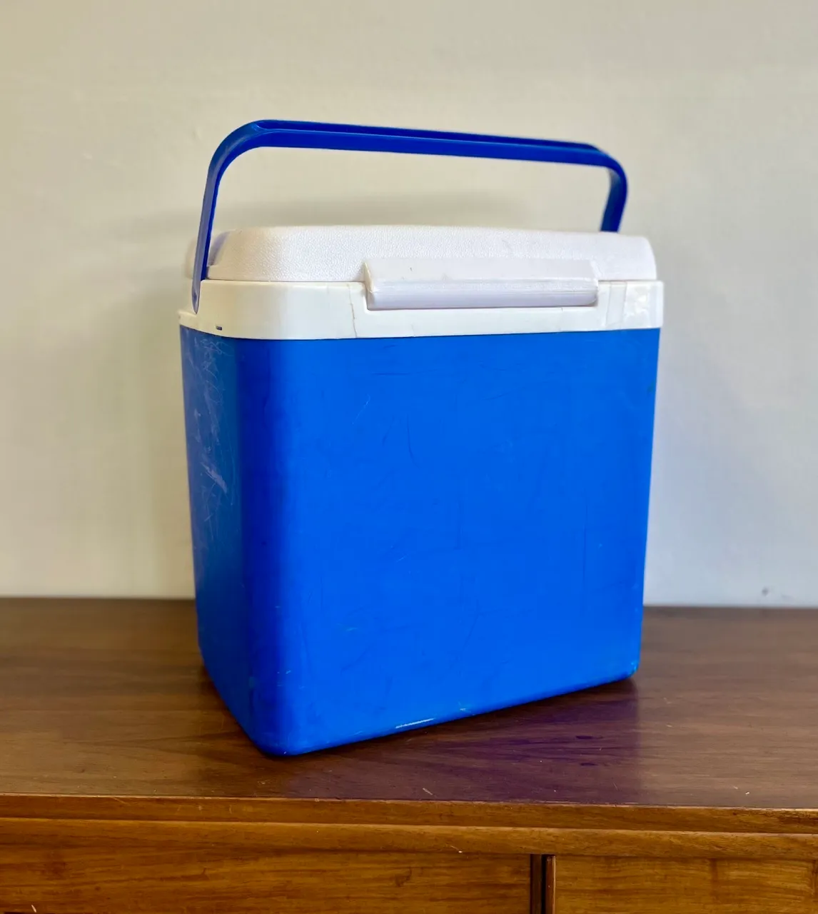 Medium Blue Picnic Cooler Box