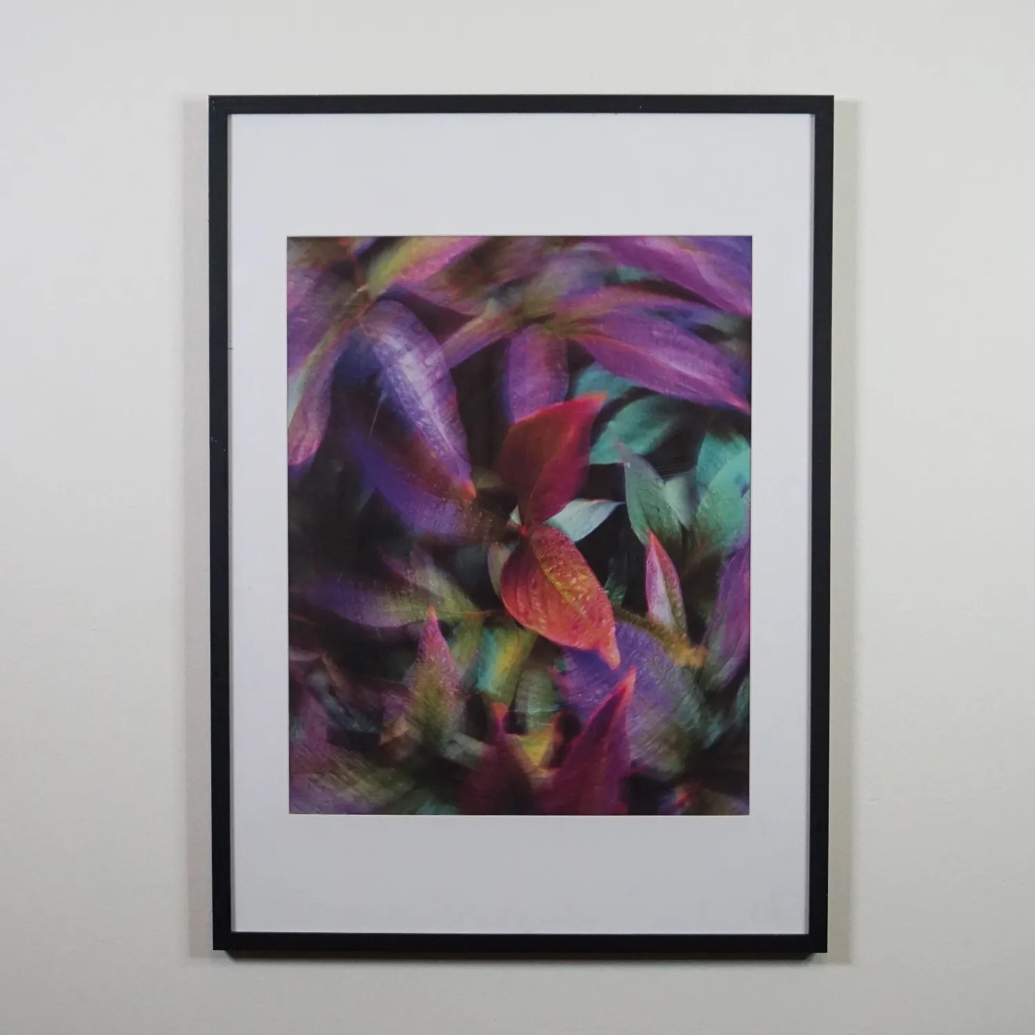 Black Frame with perspex and royalty free images 2