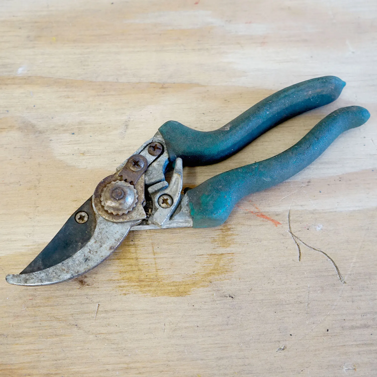 Old Secateurs 