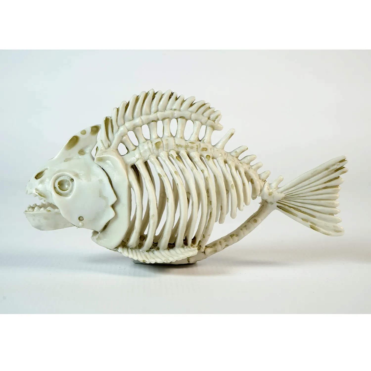 Plastic Fish Skeleton 