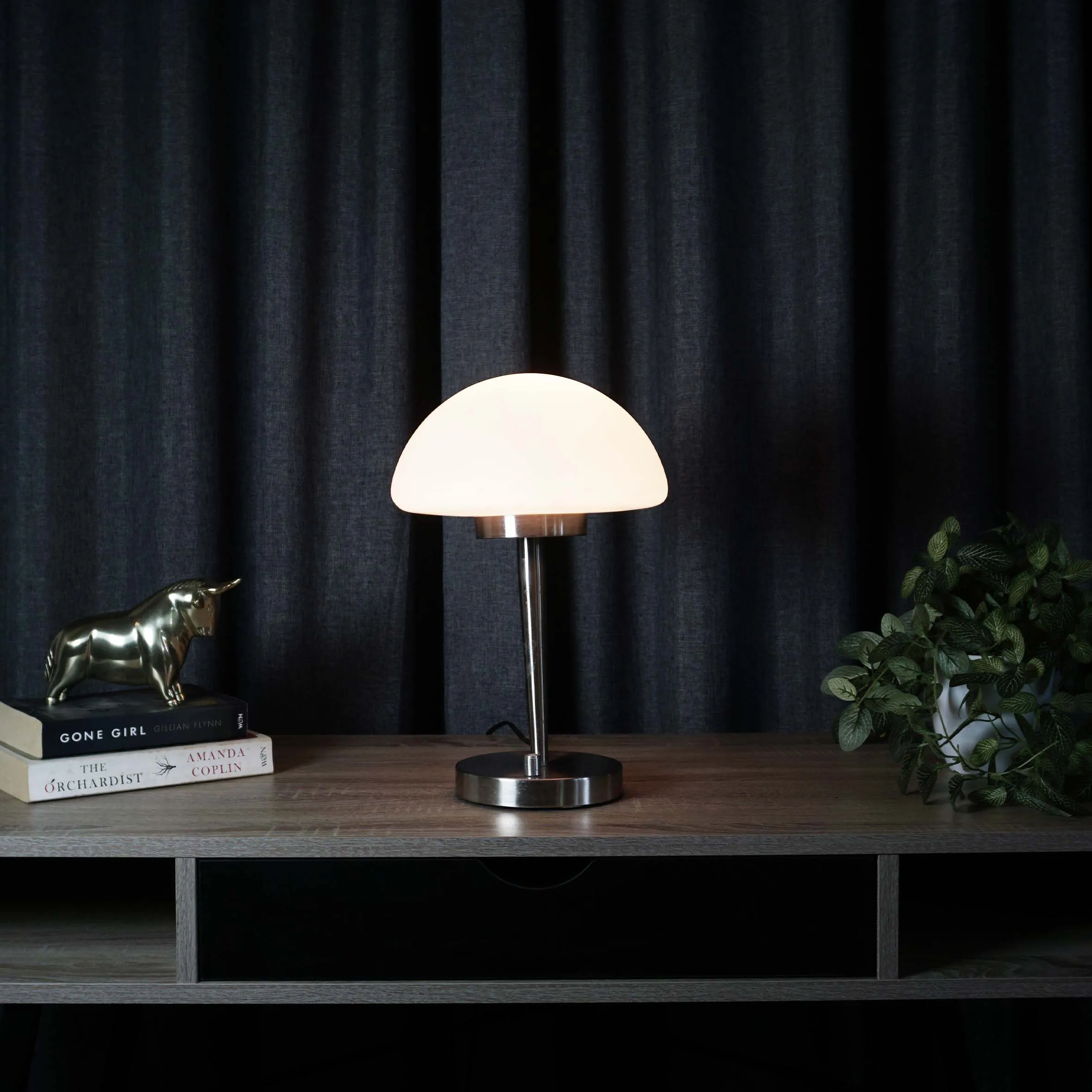Domed Frosted Glass Lamp 