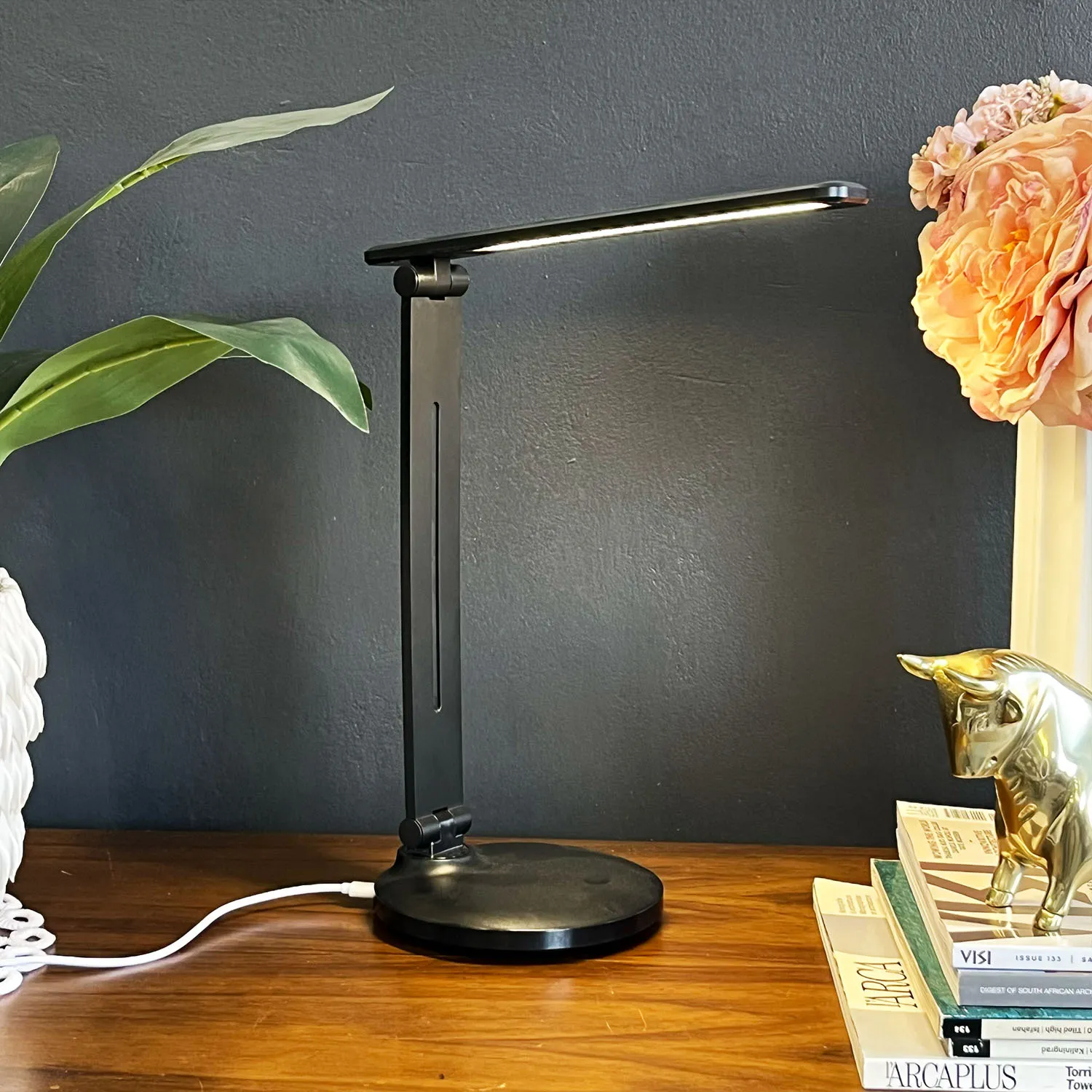 Small Black LED Desk Lamp
