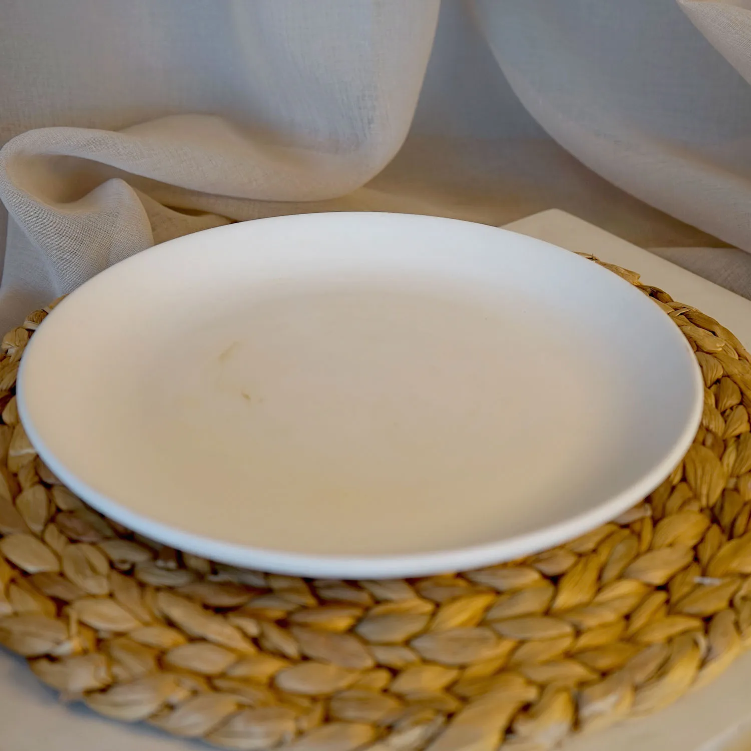 Simple White Plate