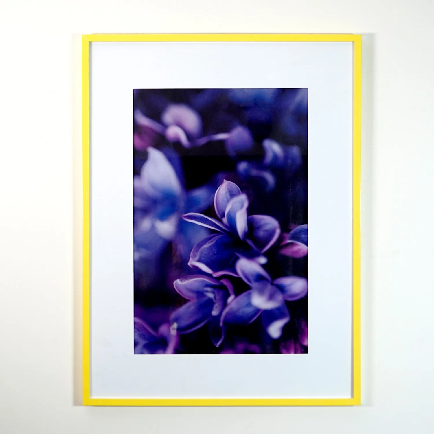 Yellow Frame with Purple Flower Print