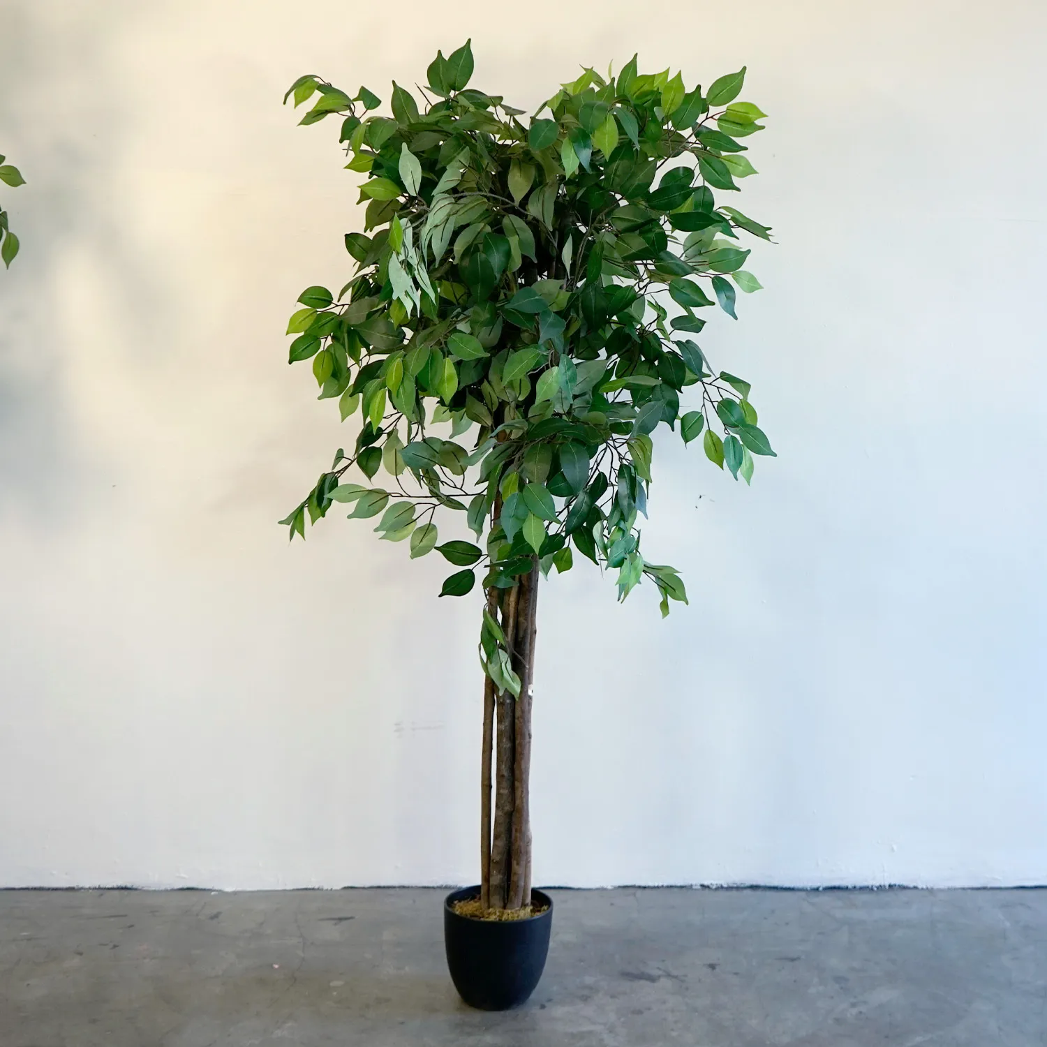 Artificial Tree - Ficus