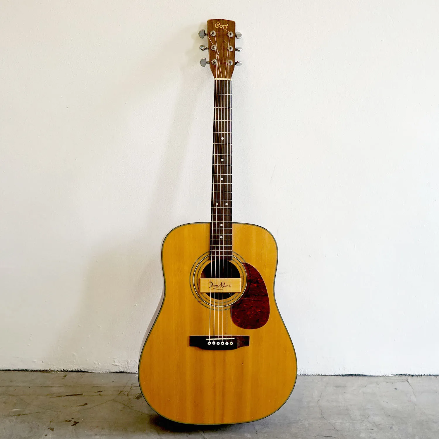 Cort Steel String Semi Acoustic Guitar 