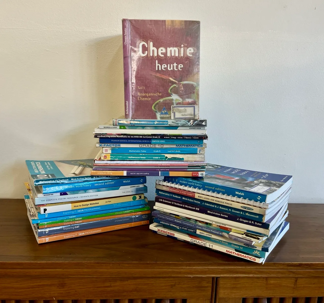Various Grades School Text Books