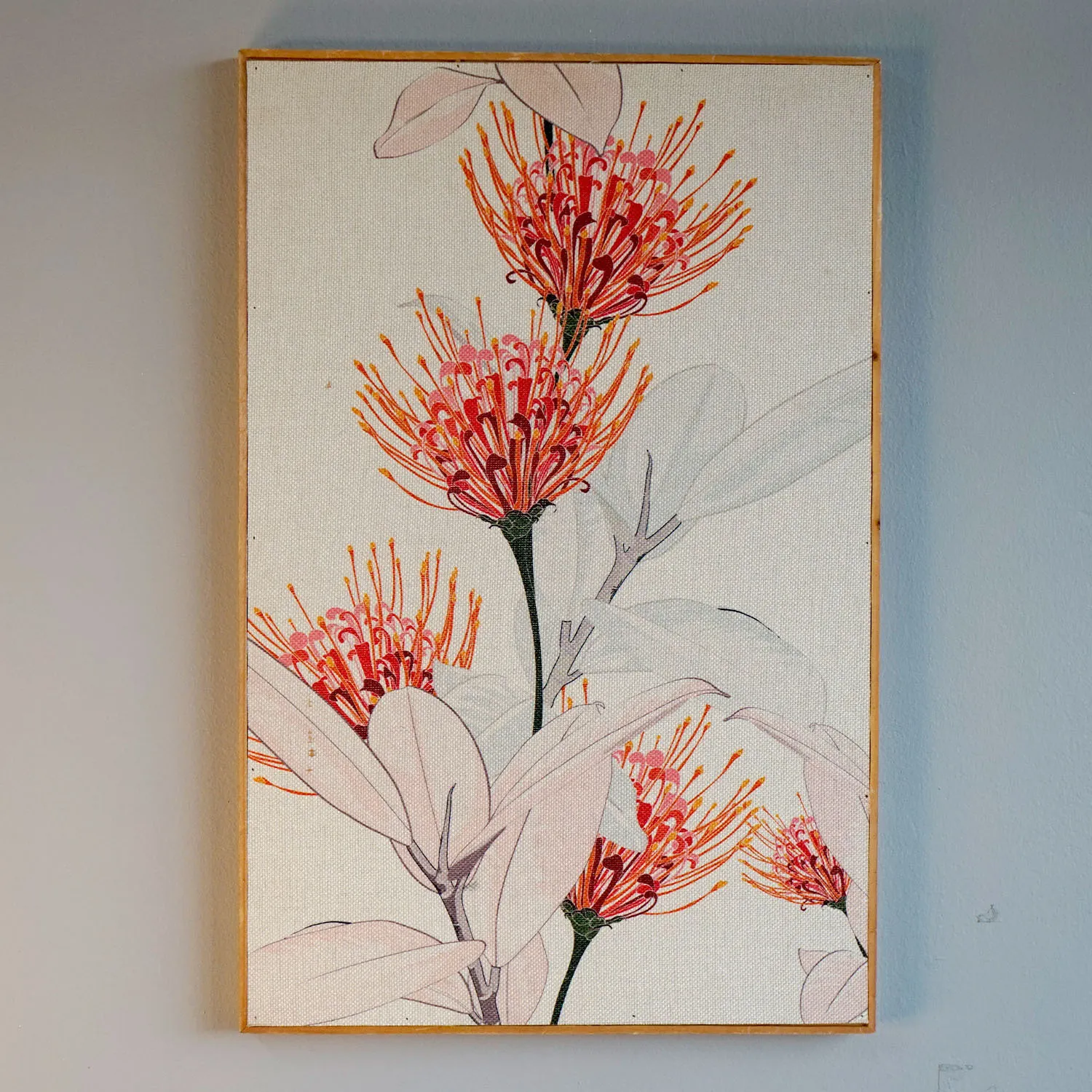 Protea artwork with wooden frame