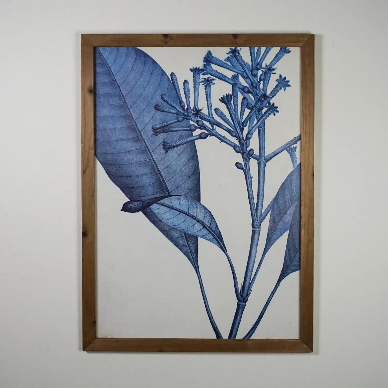 Blue Botanical print in Glass and Wood Frame