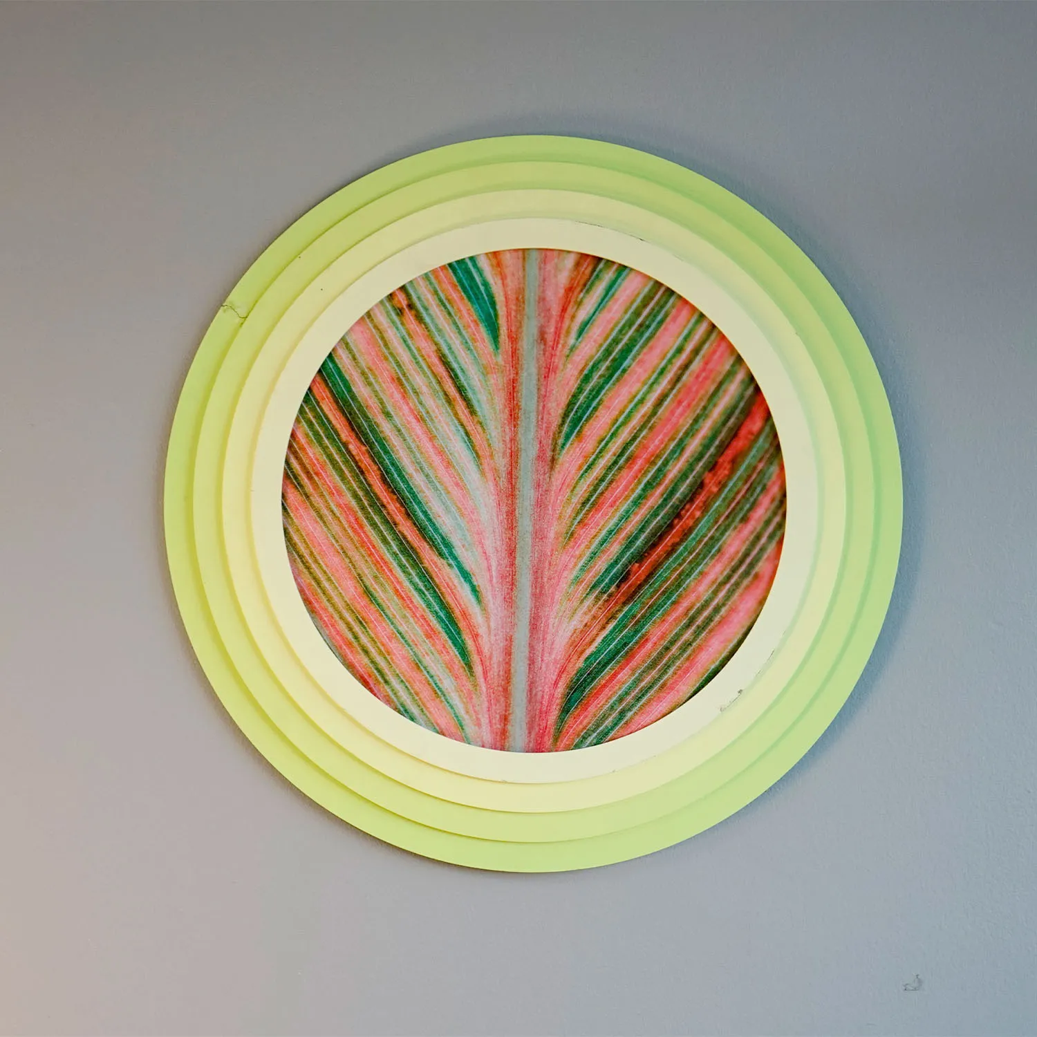 green round artwork