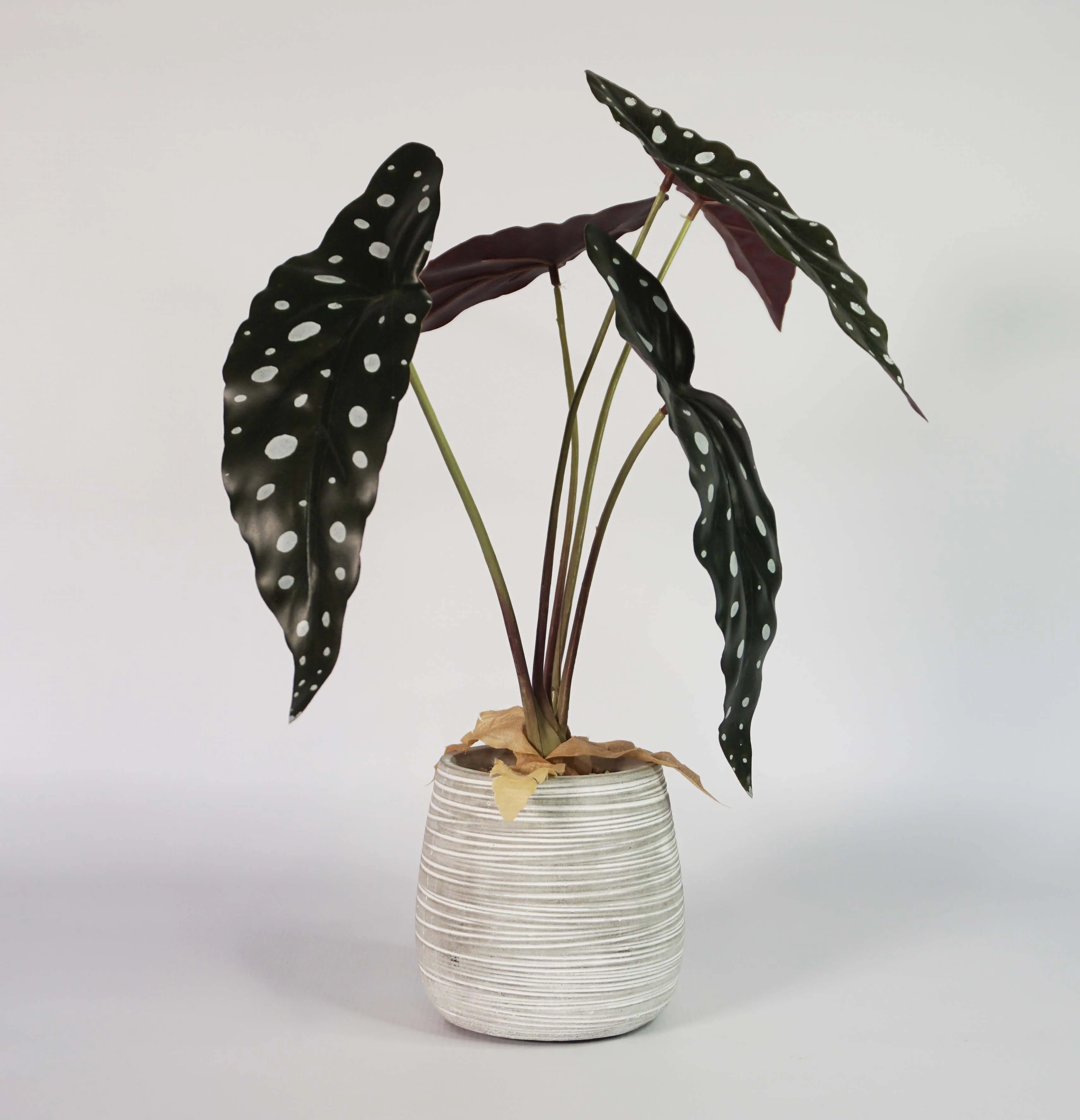 Artificial Plant 8