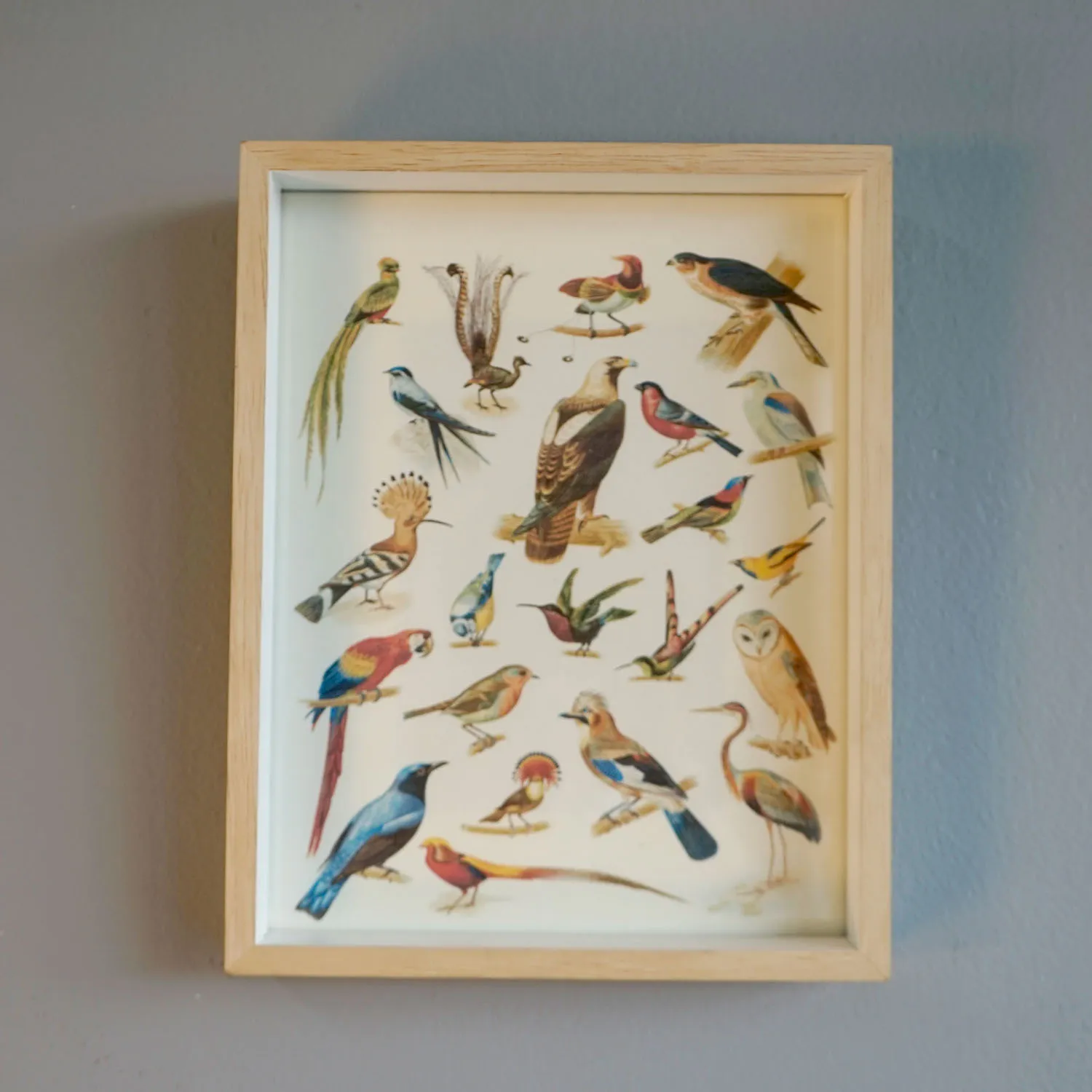 Small wooden frame with bird artwork