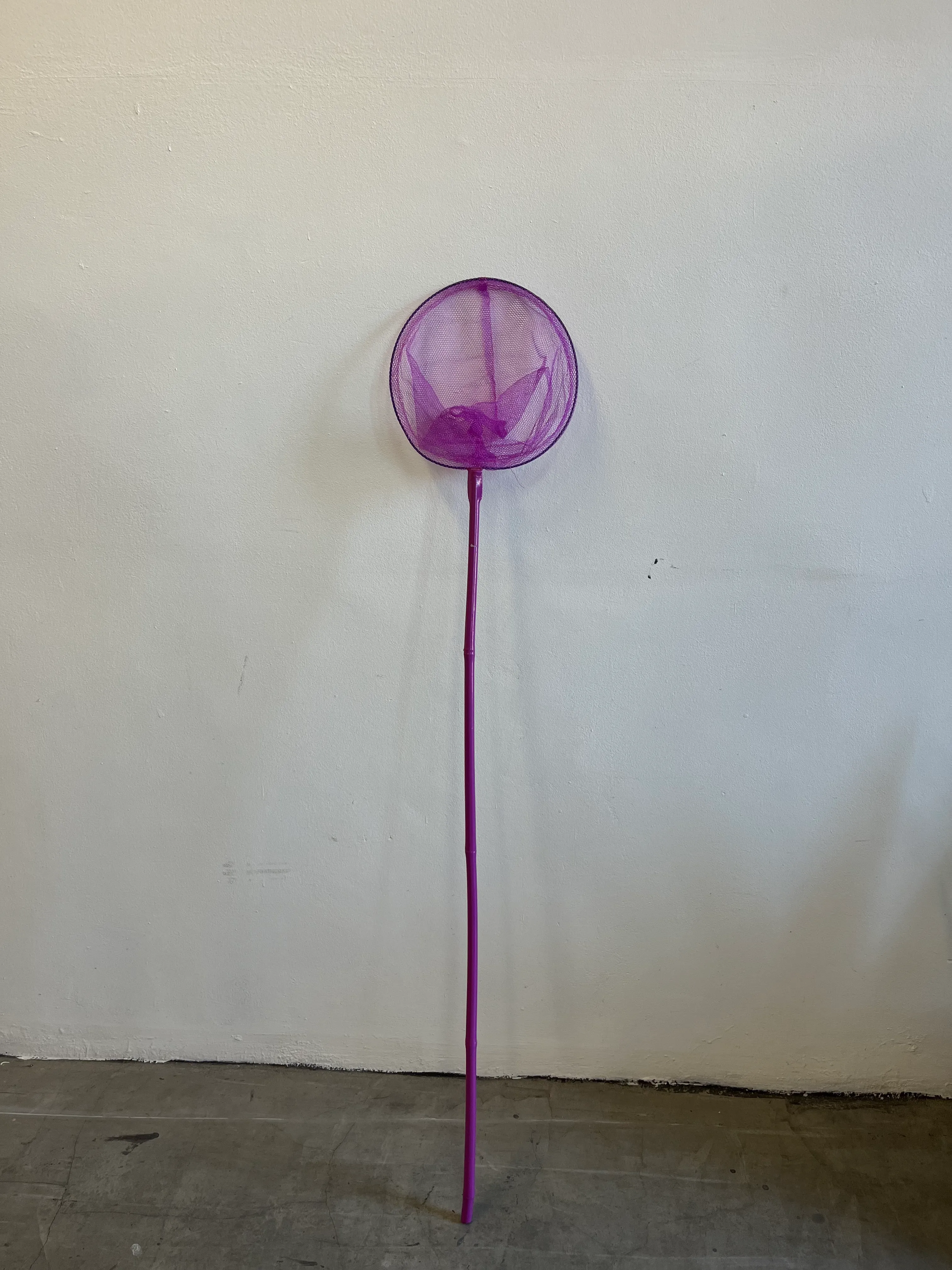 Purple Pond Net