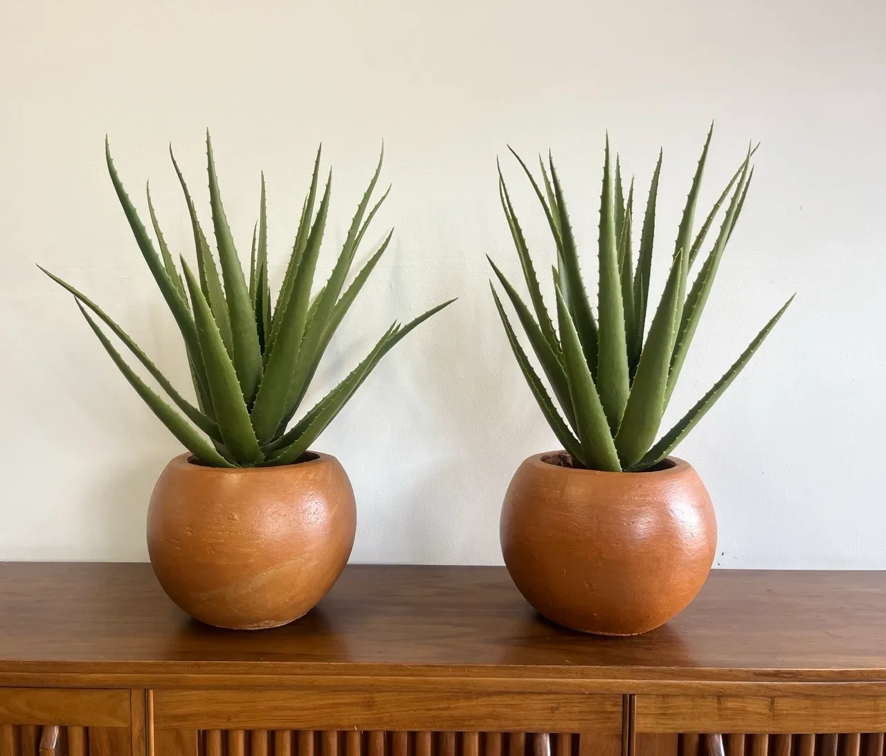 Artificial Aloe Plants