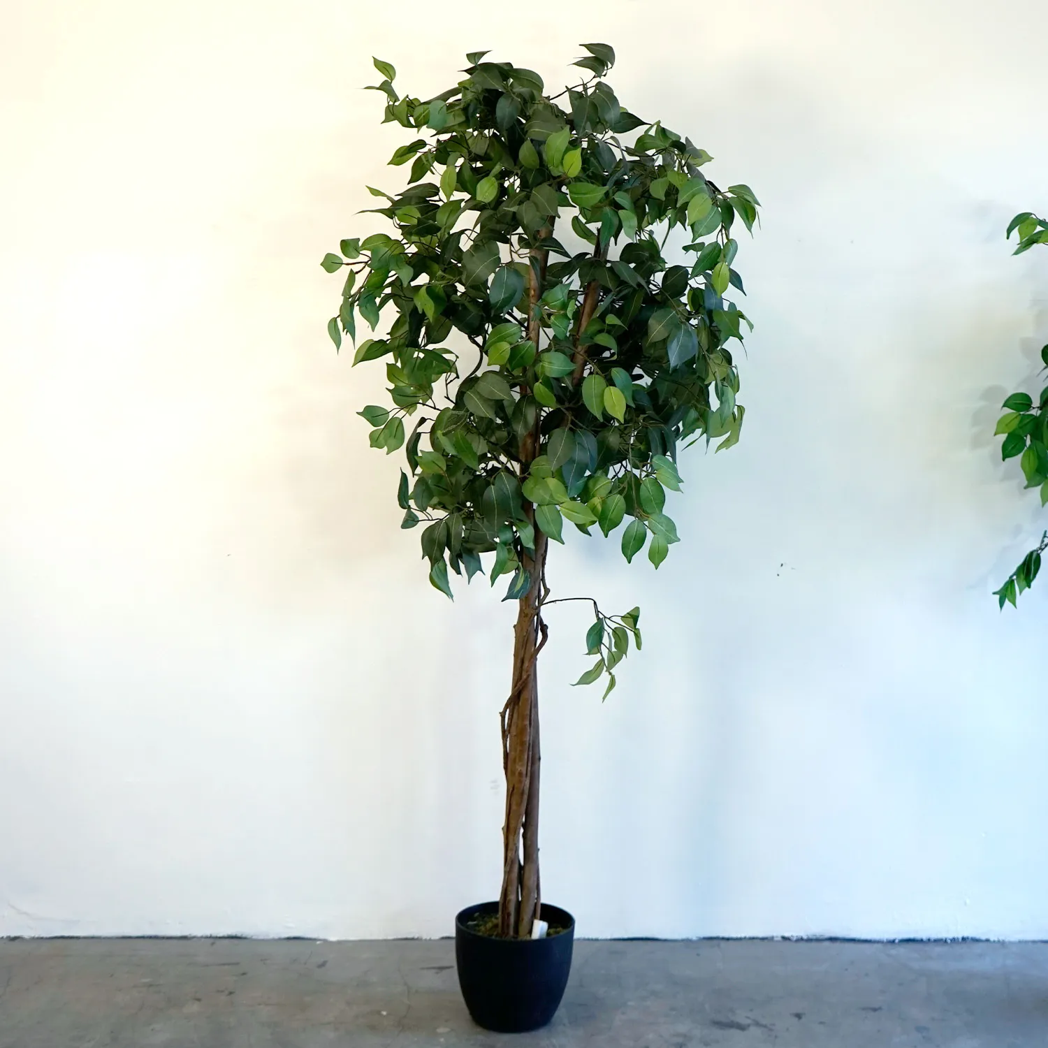Artificial Tree - Ficus