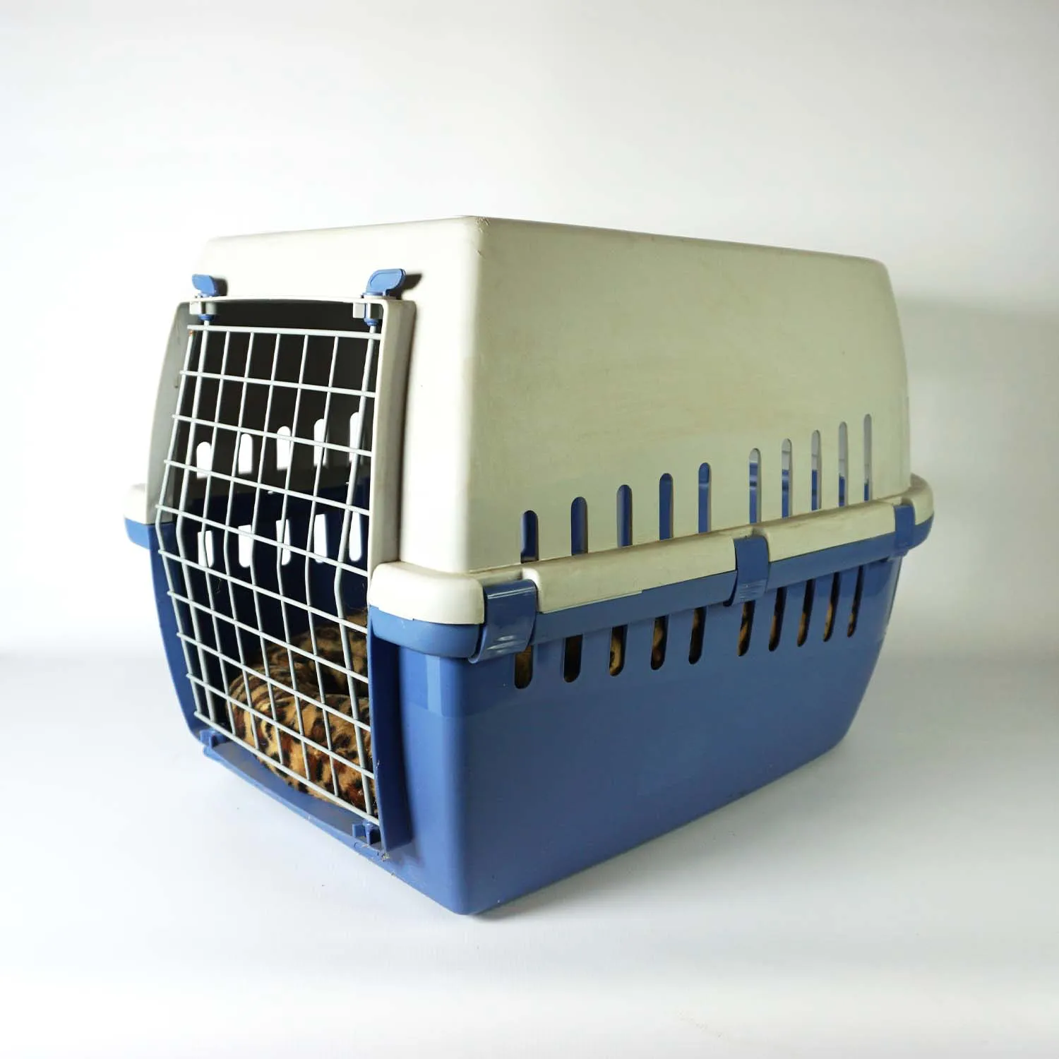 Pet Travel Carrier