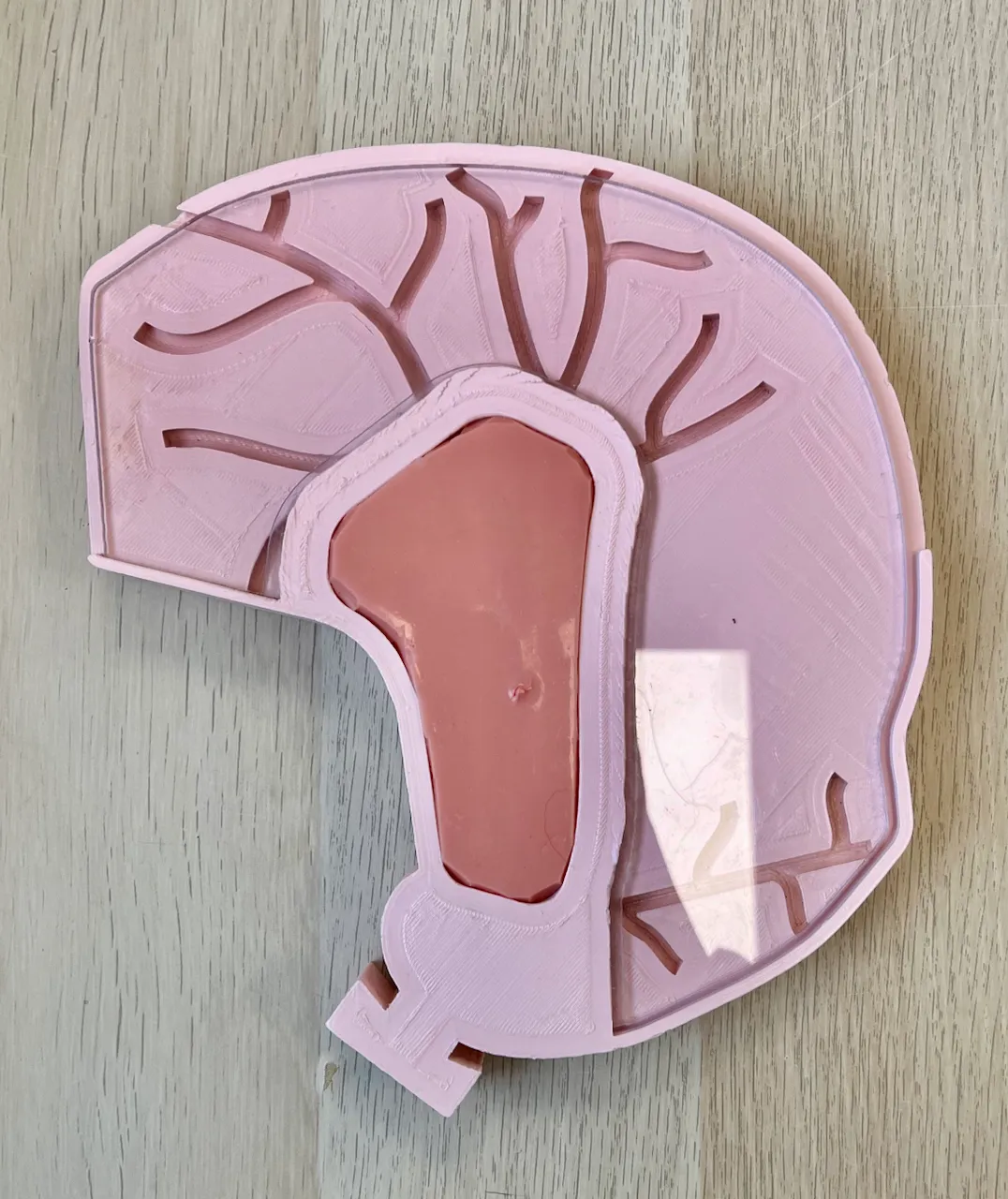 Cholangioscopic insert