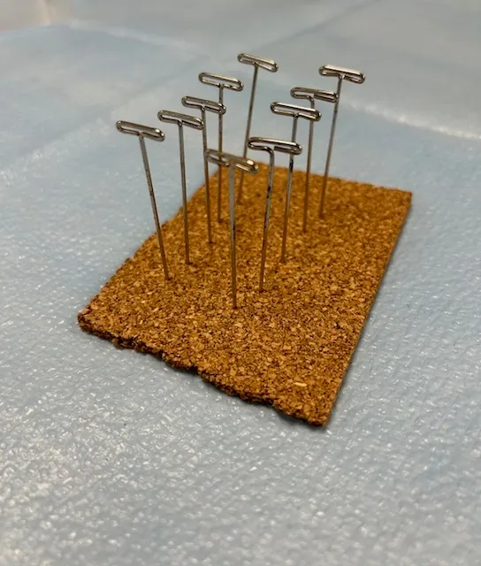 Cork Board and Pins