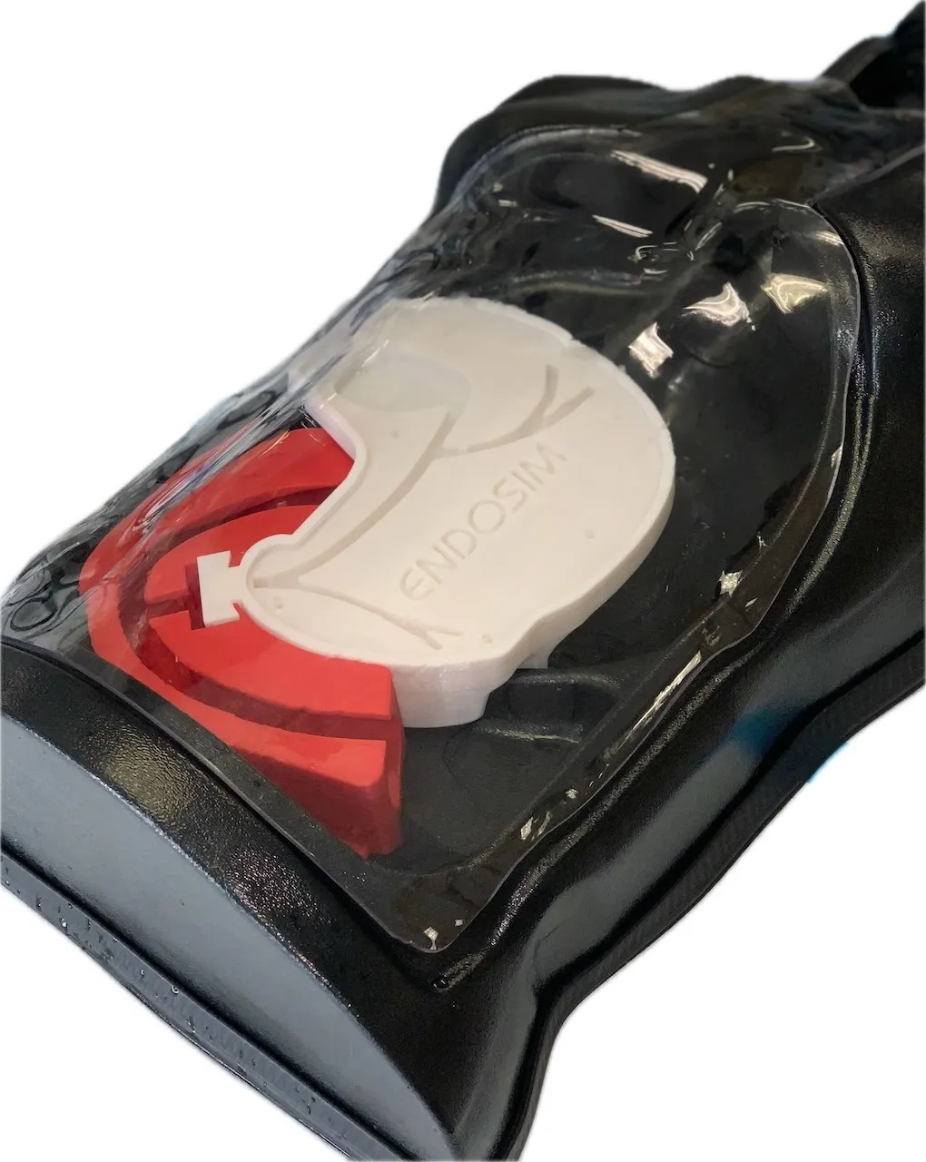 Endosim-Owned EASIE-R4 