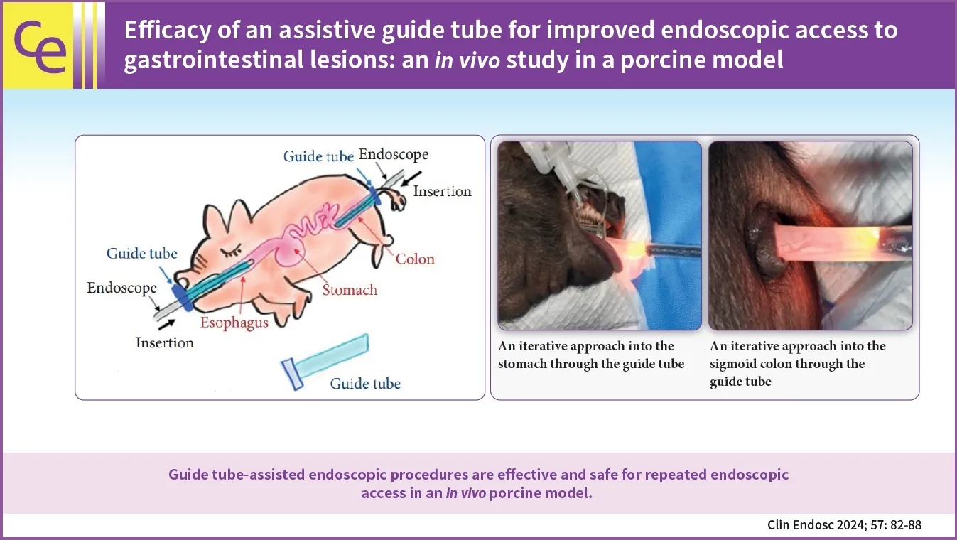 Porcine Colon Polypectomy Specimen