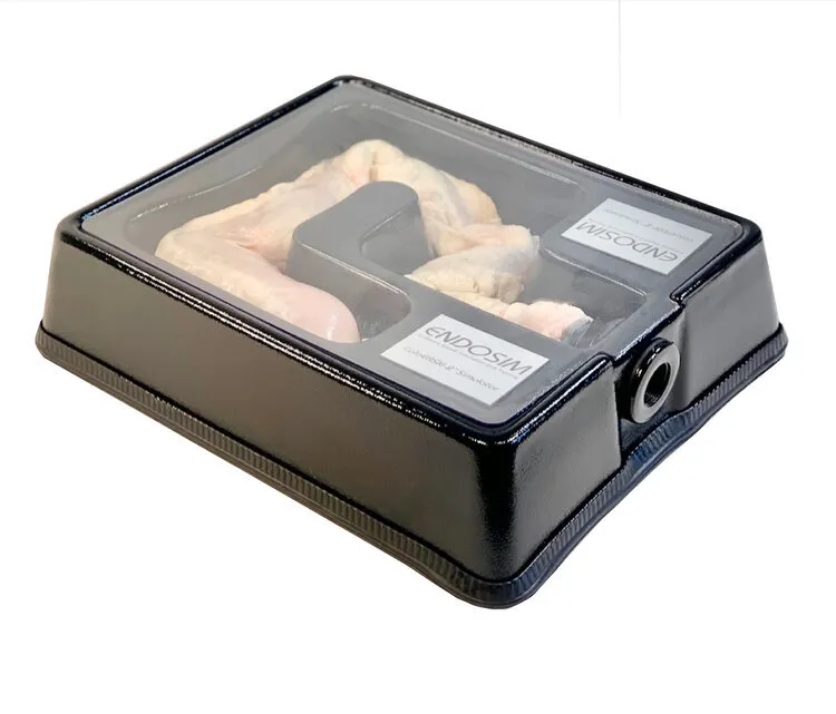 Bovine Colonoscopy Specimen