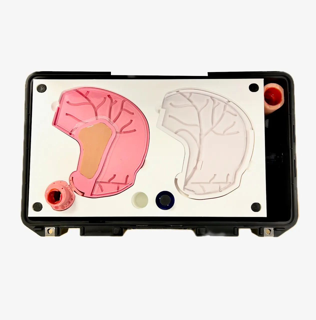 Compact ERCP-Biliary Trainer 
