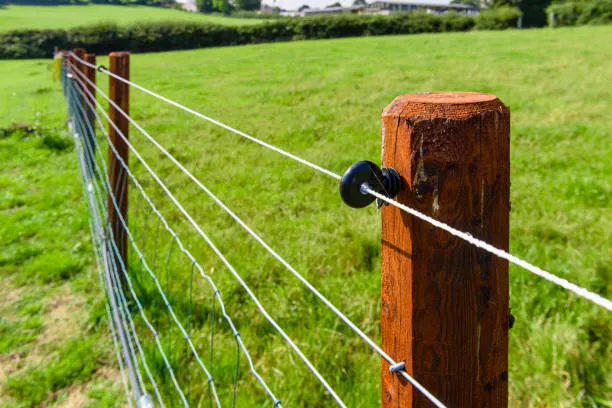 Fencing collection image