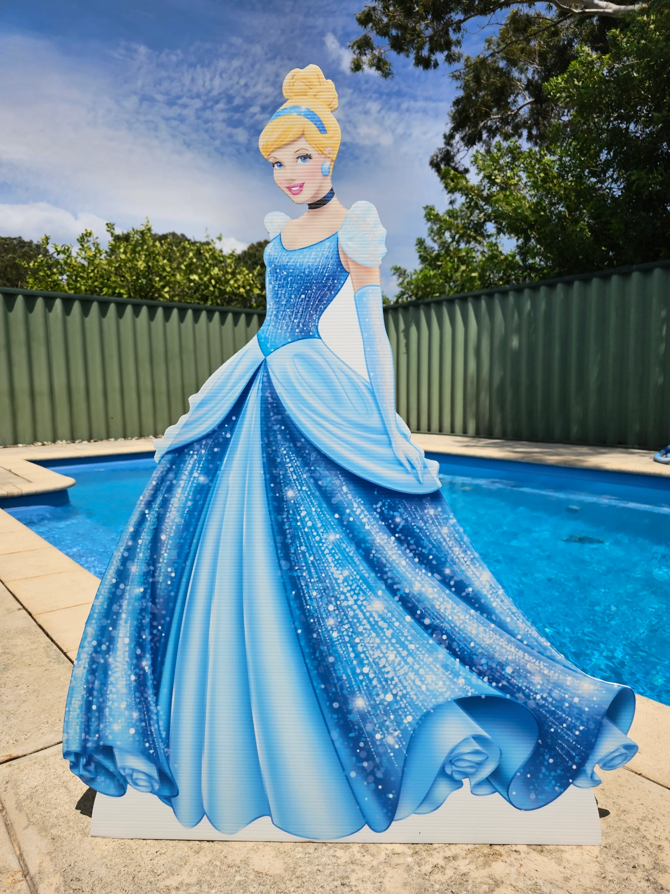 Cinderella Cut Out Hire