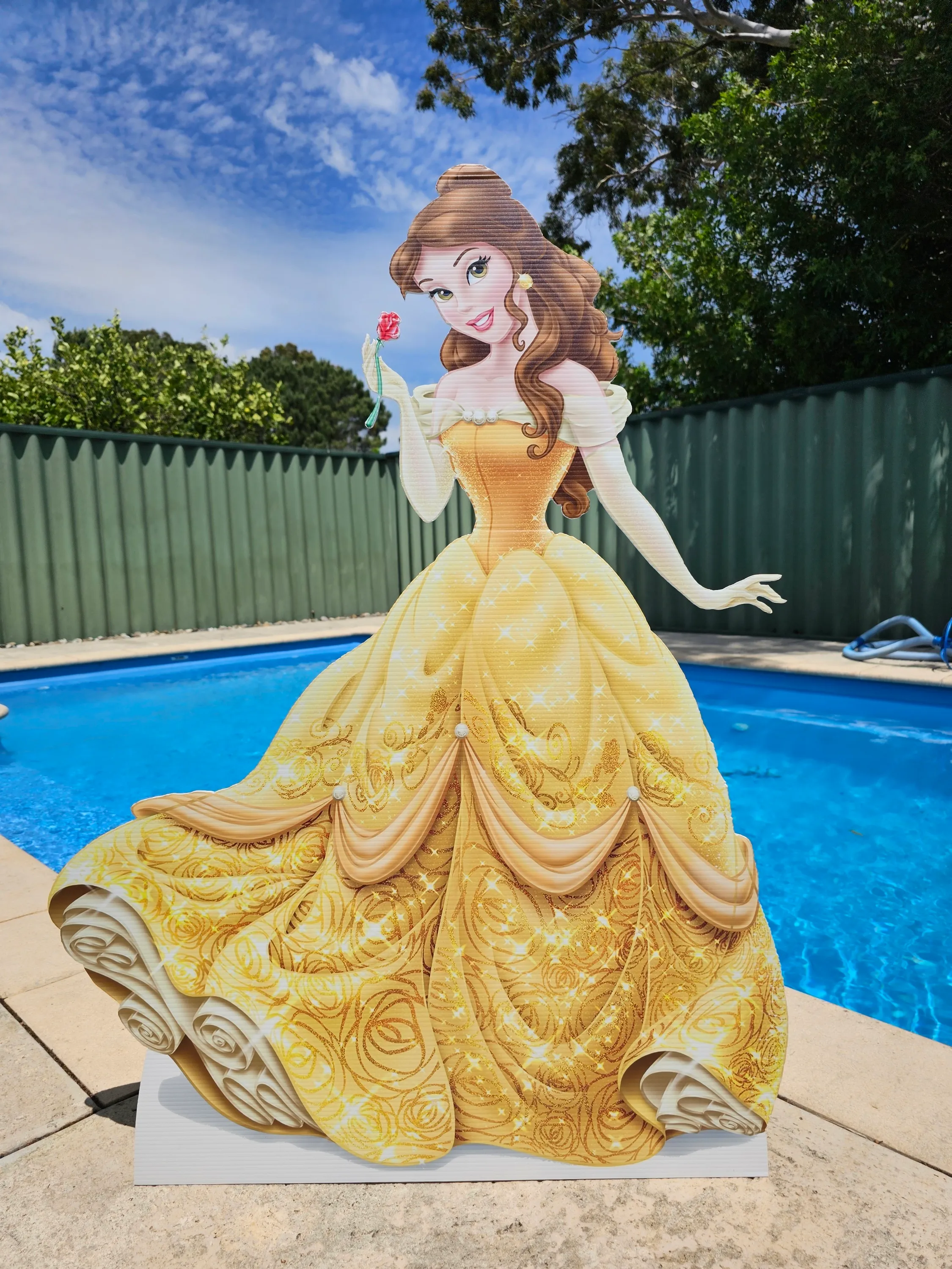 Belle Cut Out Hire