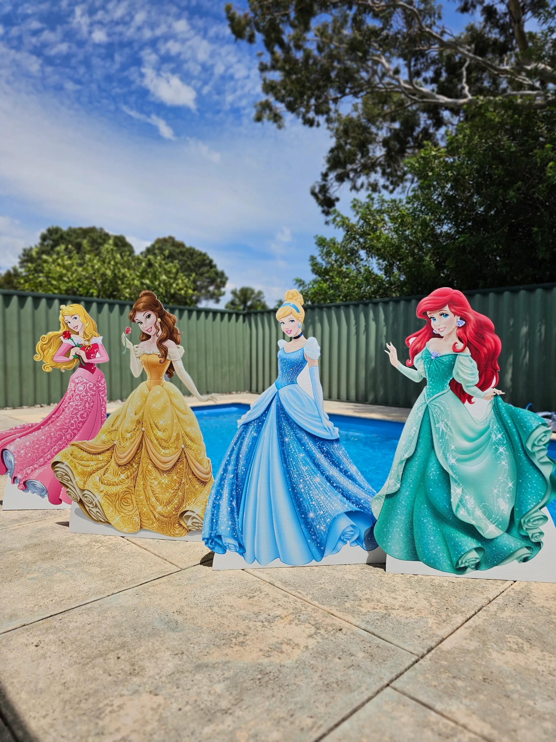 Princess Cut Out Bundle Hire