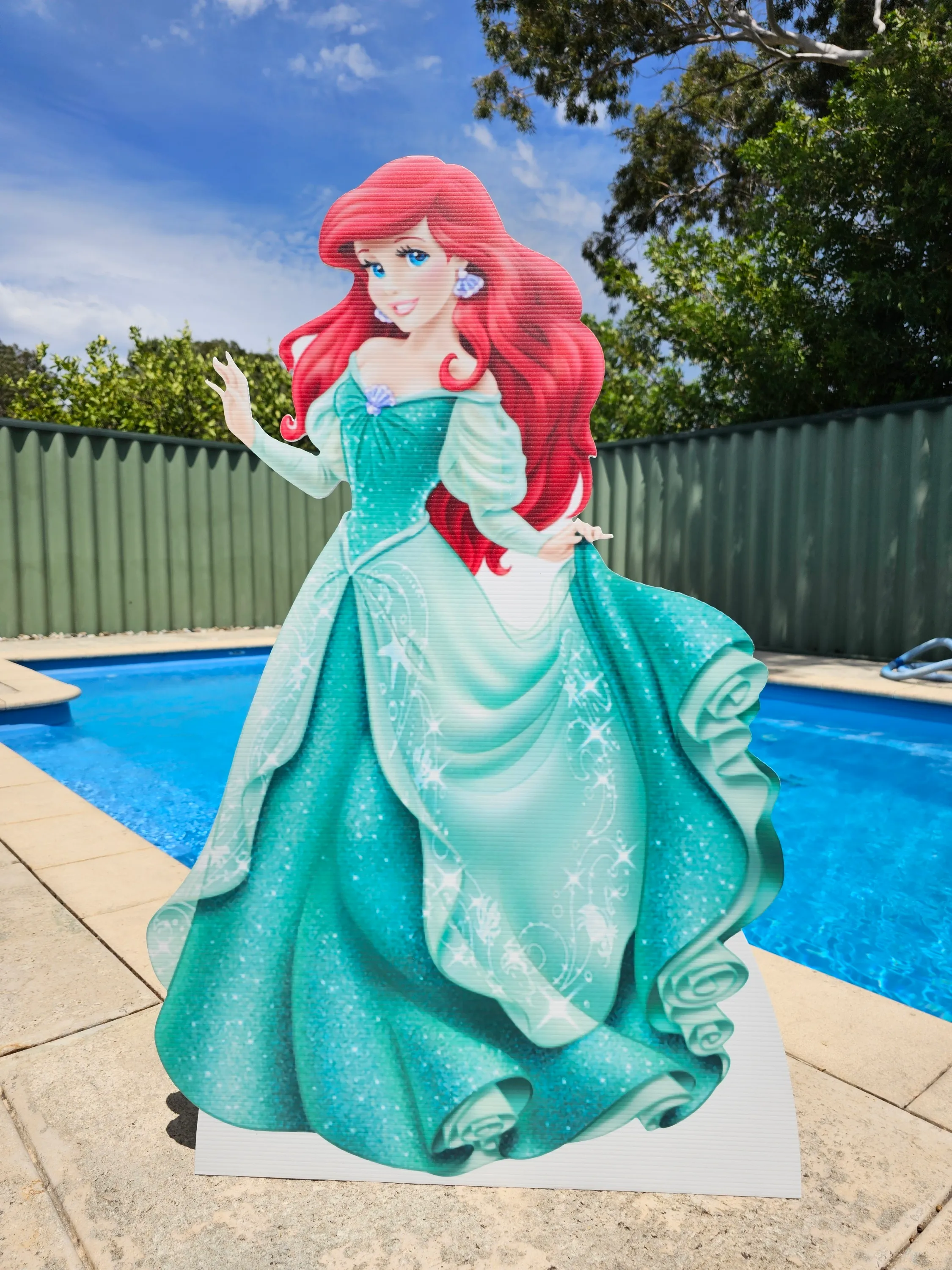 Ariel Cut Out Hire