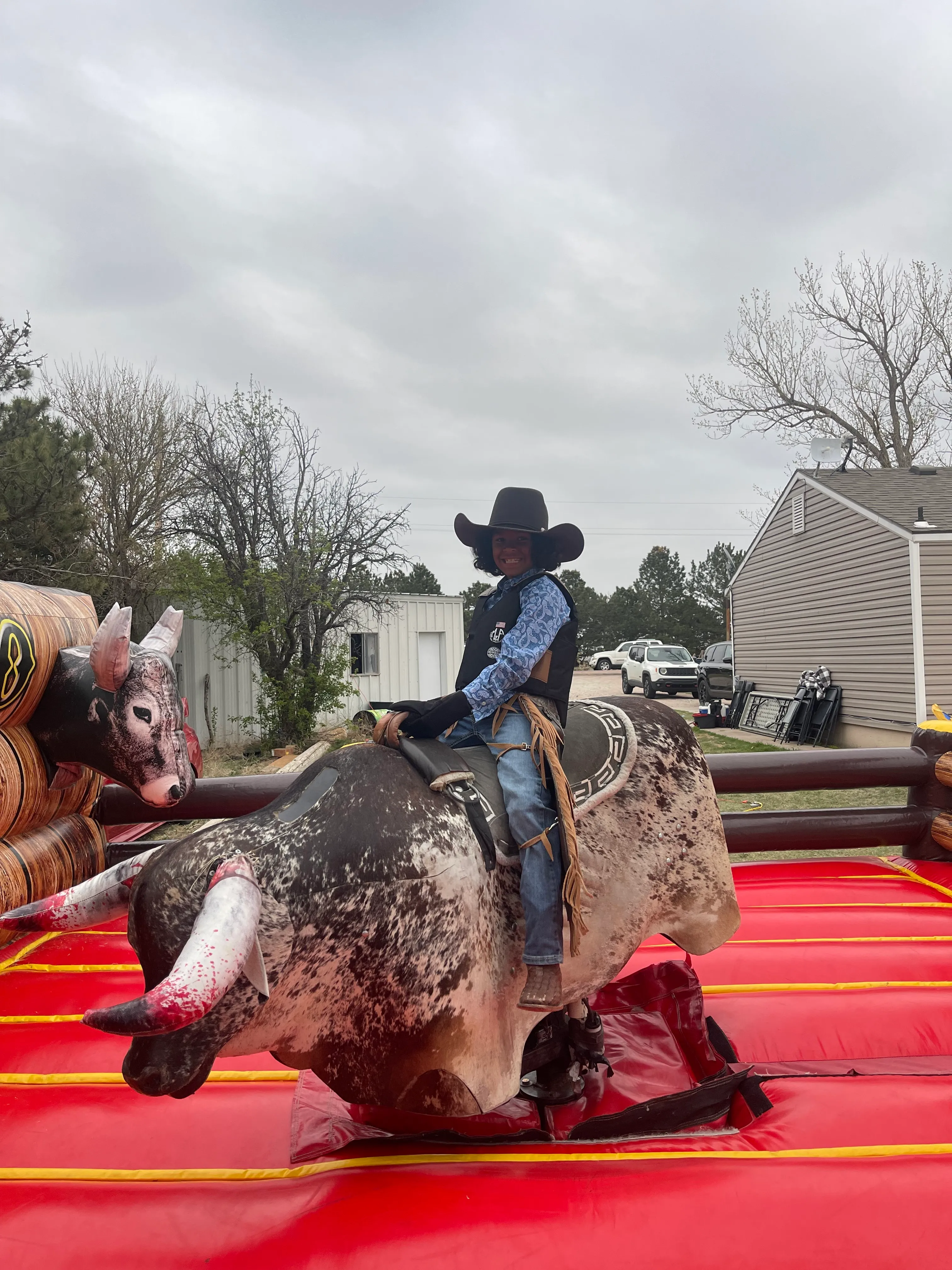 Mechanical bull